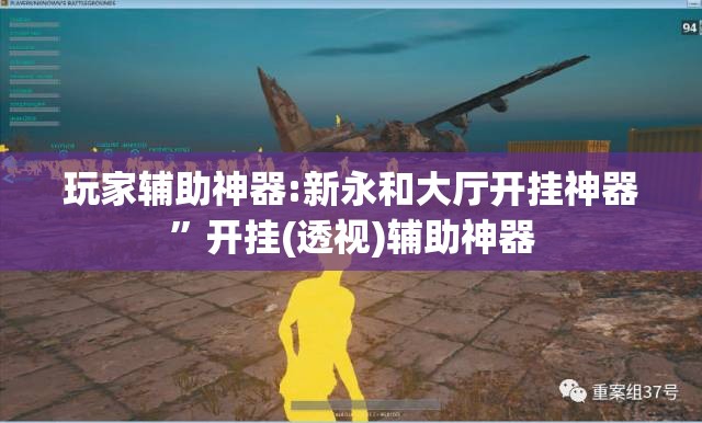 玩家辅助神器:新永和大厅开挂神器”开挂(透视)辅助神器