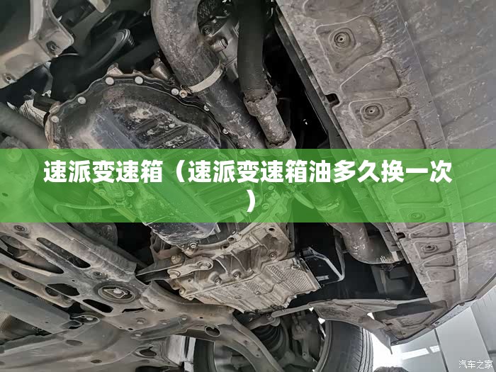 速派变速箱（速派变速箱油多久换一次）