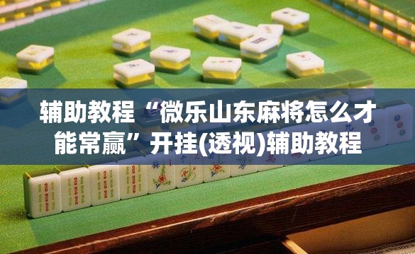 辅助教程“微乐山东麻将怎么才能常赢”开挂(透视)辅助教程