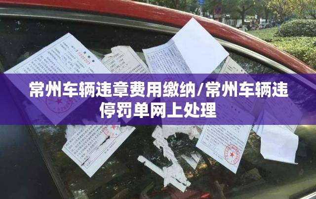 常州车辆违章费用缴纳/常州车辆违停罚单网上处理 常州车辆违章费用缴纳/常州车辆违停罚单网上处理
