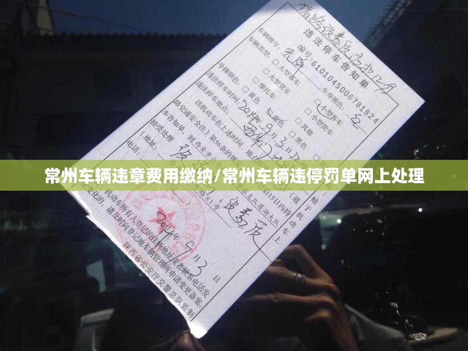 常州车辆违章费用缴纳/常州车辆违停罚单网上处理 常州车辆违章费用缴纳/常州车辆违停罚单网上处理