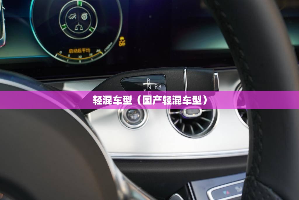 轻混车型(国产轻混车型) 轻混车型(国产轻混车型)