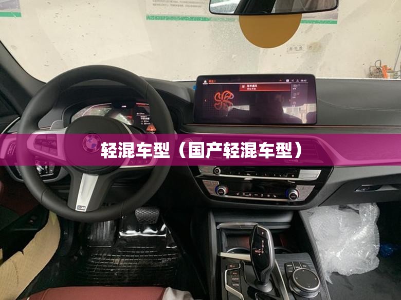 轻混车型(国产轻混车型) 轻混车型(国产轻混车型)