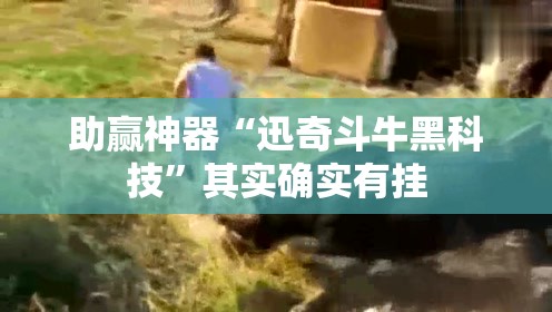 助赢神器“迅奇斗牛黑科技”其实确实有挂