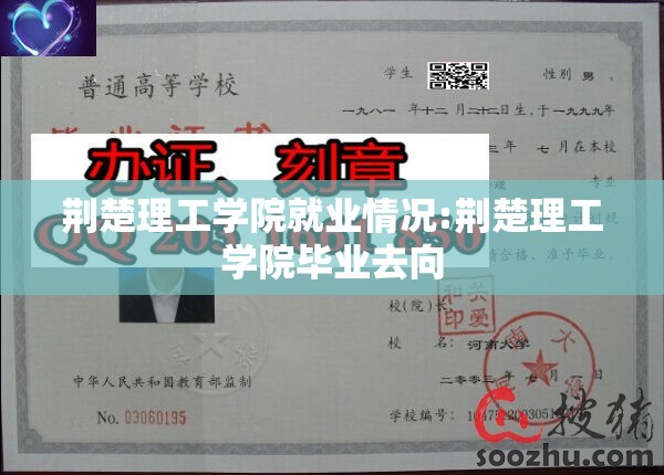 荆楚理工学院就业情况:荆楚理工学院毕业去向