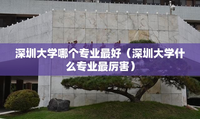 深圳大学哪个专业最好(深圳大学什么专业最厉害) 深圳大学哪个专业最好(深圳大学什么专业最厉害)