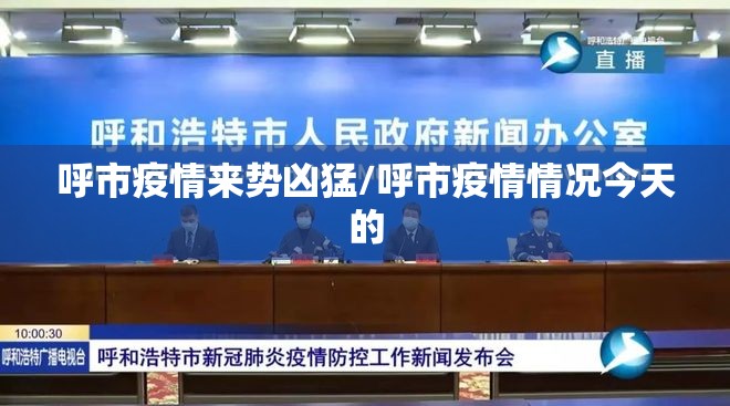 呼市疫情来势凶猛/呼市疫情情况今天的