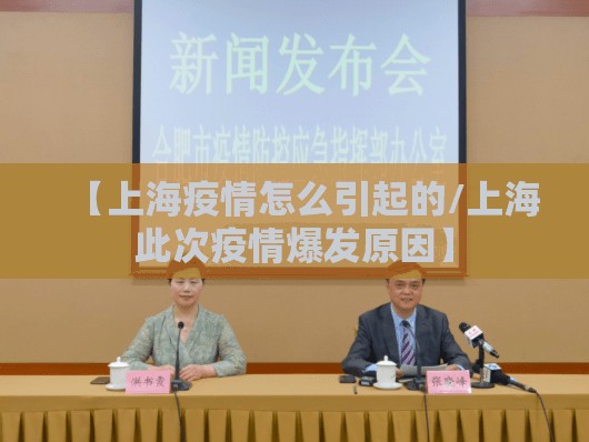 【上海疫情怎么引起的/上海此次疫情爆发原因】