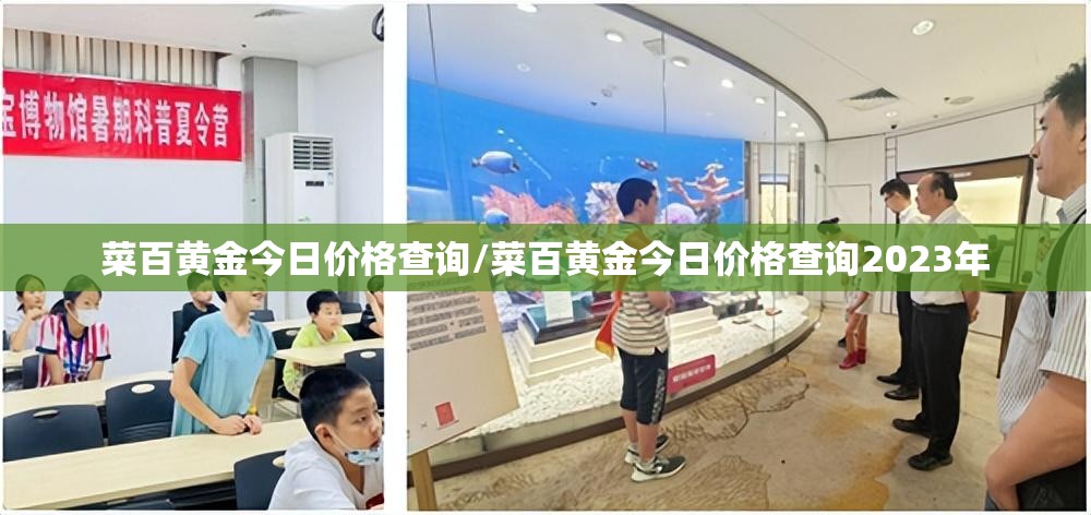 菜百黄金今日价格查询/菜百黄金今日价格查询2023年 菜百黄金今日价格查询/菜百黄金今日价格查询2023年