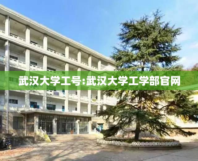 武汉大学工号:武汉大学工学部官网