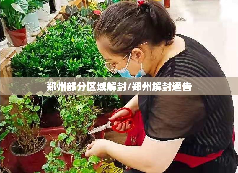郑州部分区域解封/郑州解封通告