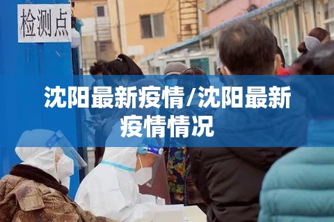 沈阳最新疫情/沈阳最新疫情情况