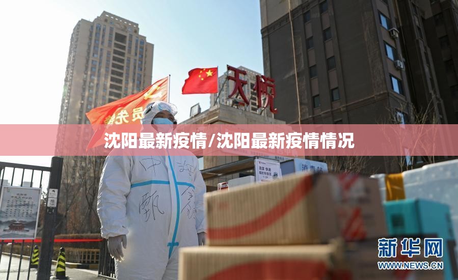 沈阳最新疫情/沈阳最新疫情情况