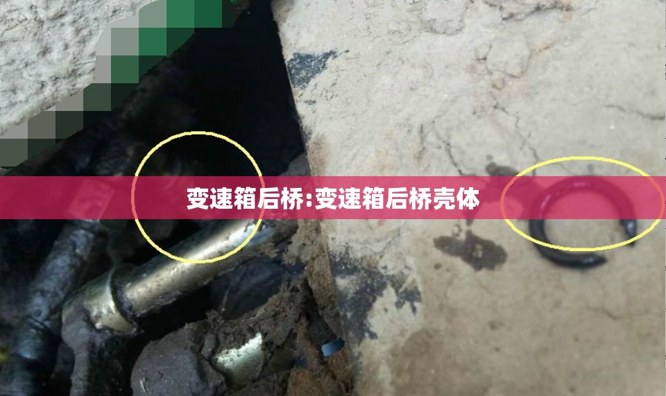 变速箱后桥:变速箱后桥壳体 变速箱后桥:变速箱后桥壳体