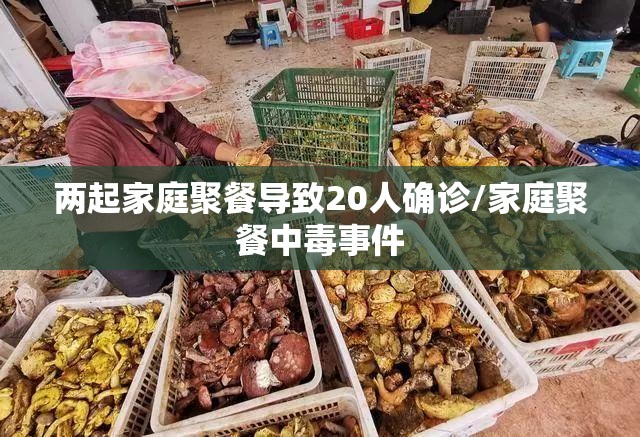 两起家庭聚餐导致20人确诊/家庭聚餐中毒事件 两起家庭聚餐导致20人确诊/家庭聚餐中毒事件
