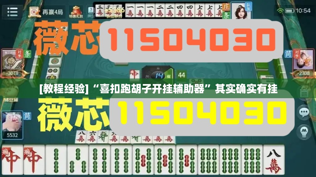 [教程经验]“喜扣跑胡子开挂辅助器”其实确实有挂