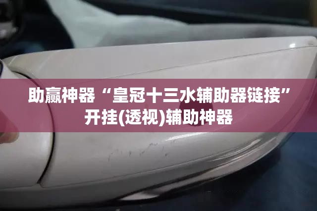 助赢神器“皇冠十三水辅助器链接”开挂(透视)辅助神器