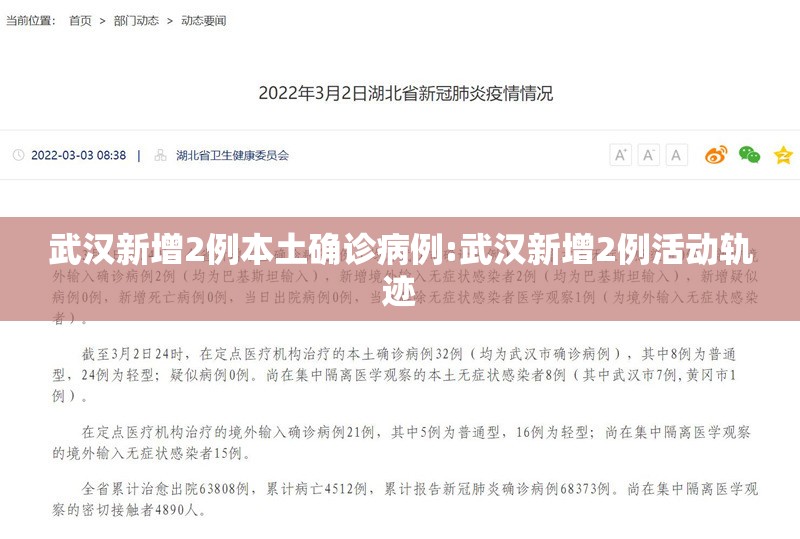 武汉新增2例本土确诊病例:武汉新增2例活动轨迹