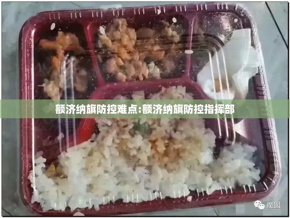 额济纳旗防控难点:额济纳旗防控指挥部 额济纳旗防控难点:额济纳旗防控指挥部