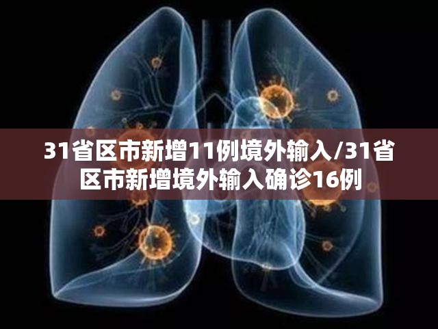 31省区市新增11例境外输入/31省区市新增境外输入确诊16例