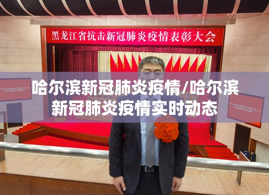 哈尔滨新冠肺炎疫情/哈尔滨新冠肺炎疫情实时动态 哈尔滨新冠肺炎疫情/哈尔滨新冠肺炎疫情实时动态