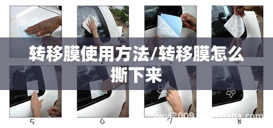 转移膜使用方法/转移膜怎么撕下来 转移膜使用方法/转移膜怎么撕下来