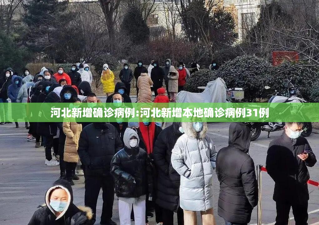 河北新增确诊病例:河北新增本地确诊病例31例 河北新增确诊病例:河北新增本地确诊病例31例