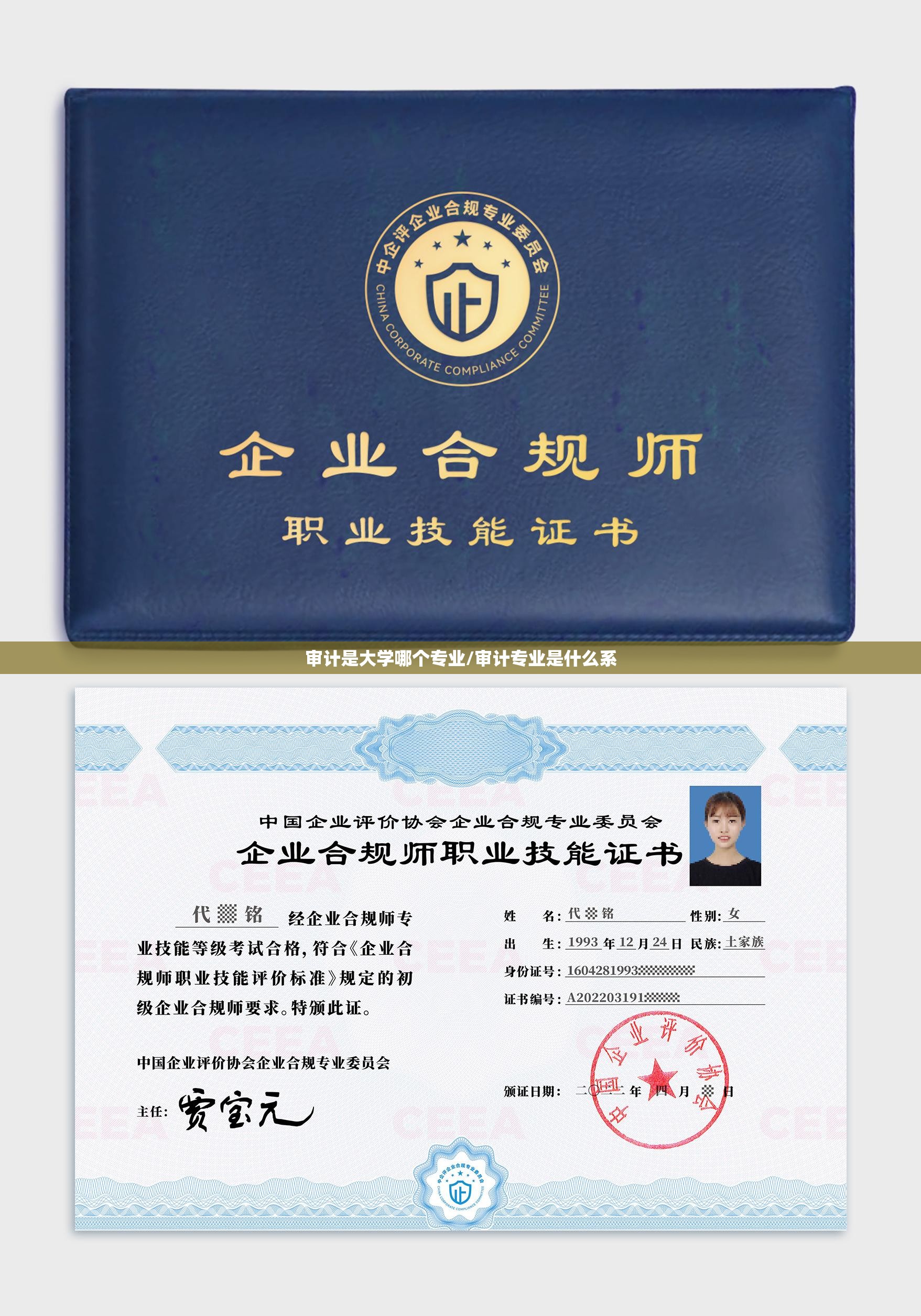 审计是大学哪个专业/审计专业是什么系
