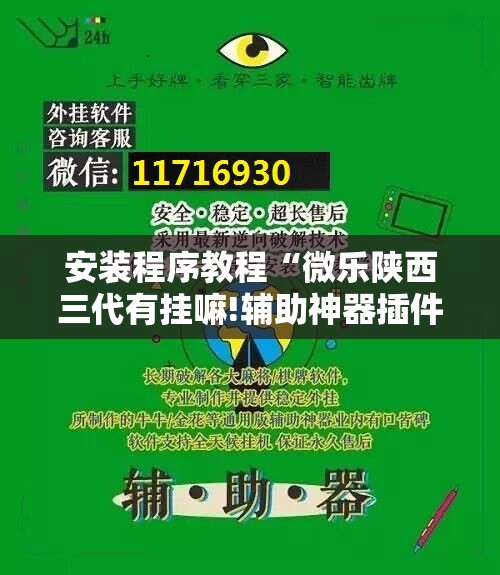 安装程序教程“微乐陕西三代有挂嘛!辅助神器插件下载