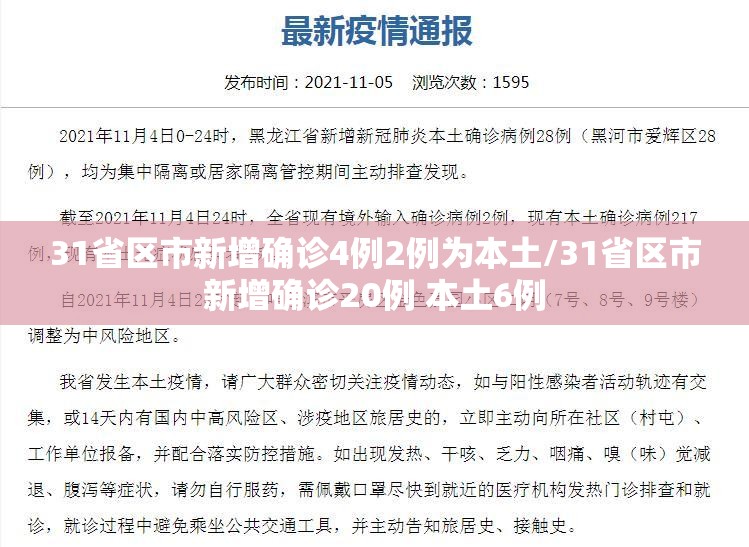 31省区市新增确诊4例2例为本土/31省区市新增确诊20例 本土6例 31省区市新增确诊4例2例为本土/31省区市新增确诊20例 本土6例