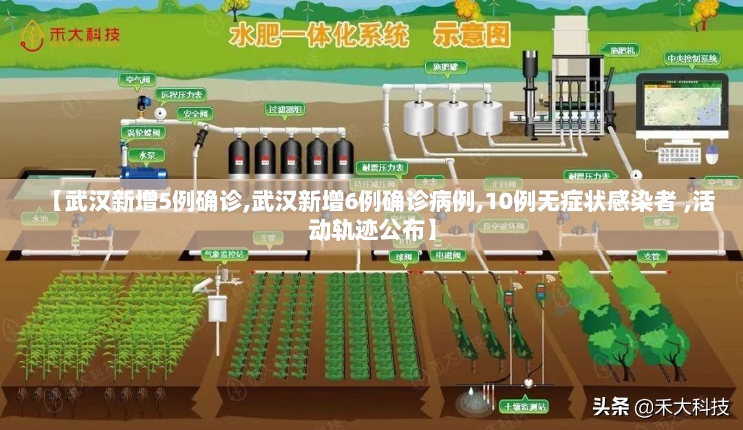 【武汉新增5例确诊,武汉新增6例确诊病例,10例无症状感染者 ,活动轨迹公布】 【武汉新增5例确诊,武汉新增6例确诊病例,10例无症状感染者 ,活动轨迹公布】