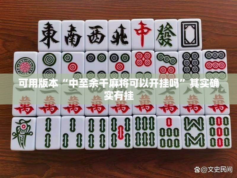 可用版本“中至余干麻将可以开挂吗	”其实确实有挂