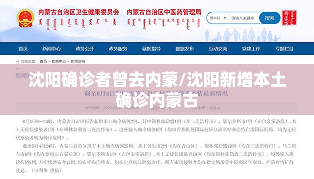 沈阳确诊者曾去内蒙/沈阳新增本土确诊内蒙古
