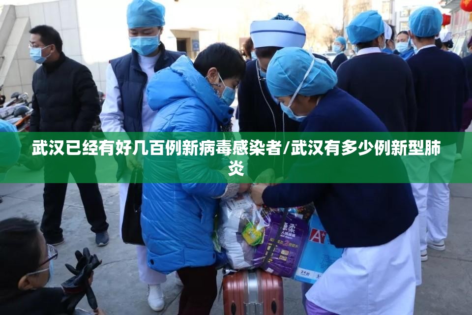 武汉已经有好几百例新病毒感染者/武汉有多少例新型肺炎 武汉已经有好几百例新病毒感染者/武汉有多少例新型肺炎