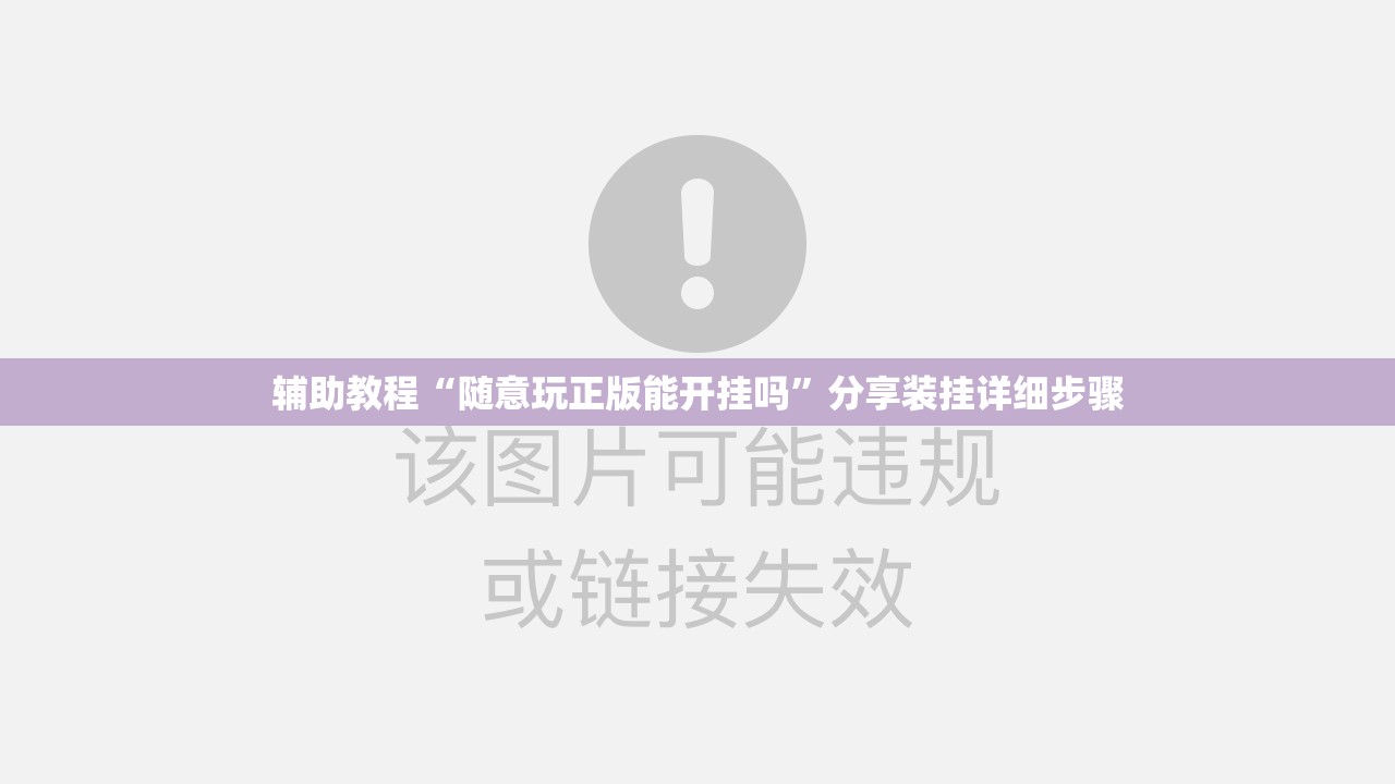 辅助教程“随意玩正版能开挂吗”分享装挂详细步骤