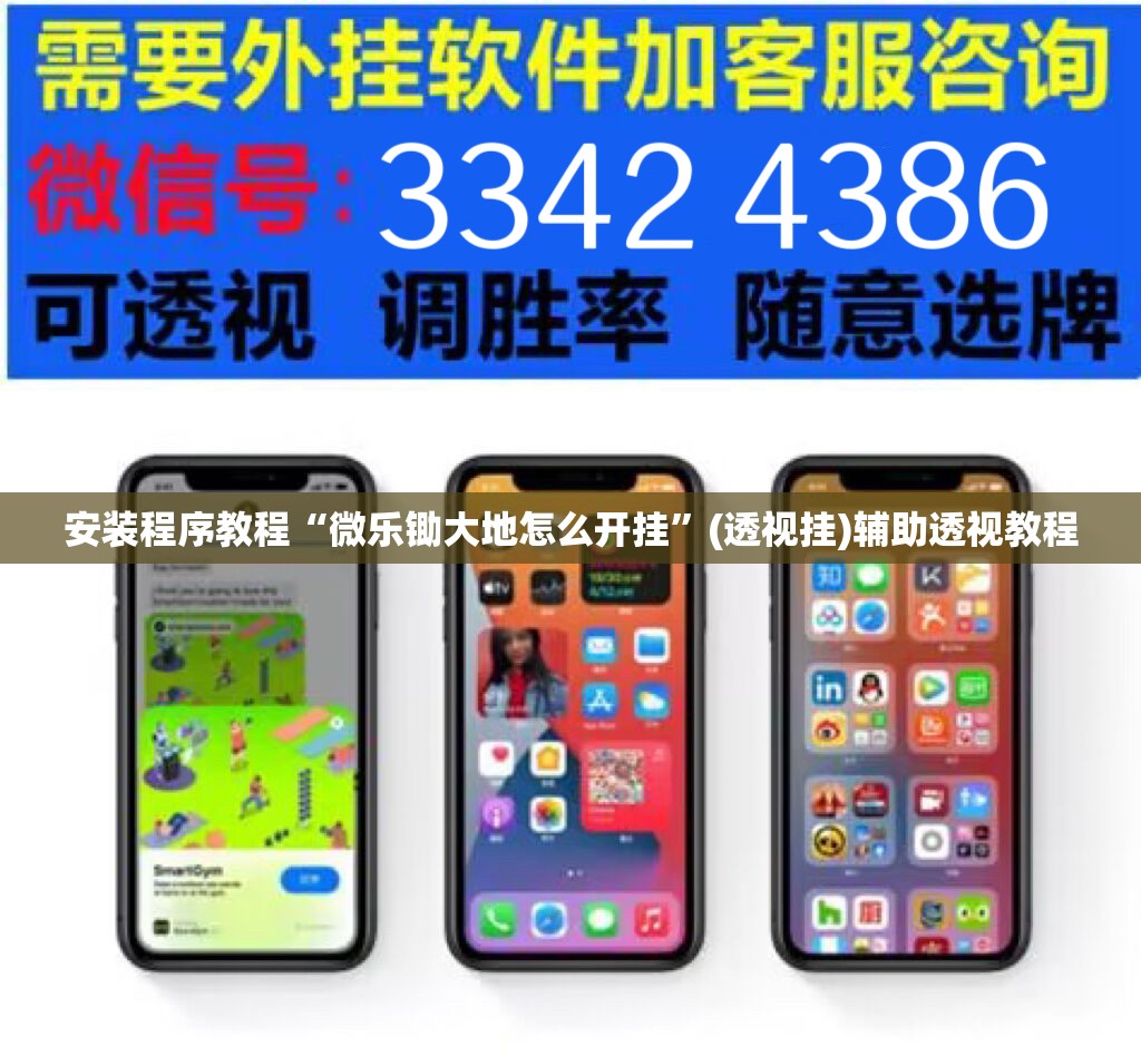 安装程序教程“微乐锄大地怎么开挂”(透视挂)辅助透视教程