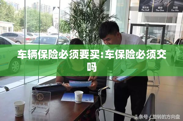 车辆保险必须要买:车保险必须交吗 车辆保险必须要买:车保险必须交吗