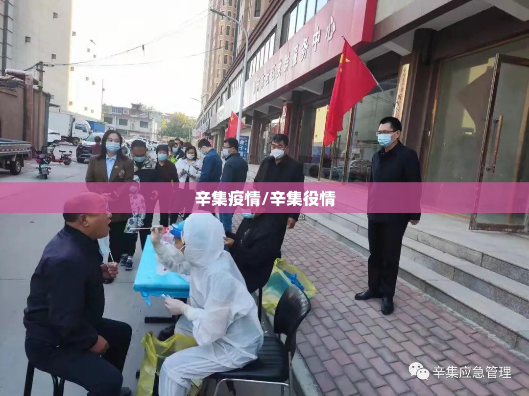 辛集疫情/辛集役情 辛集疫情/辛集役情