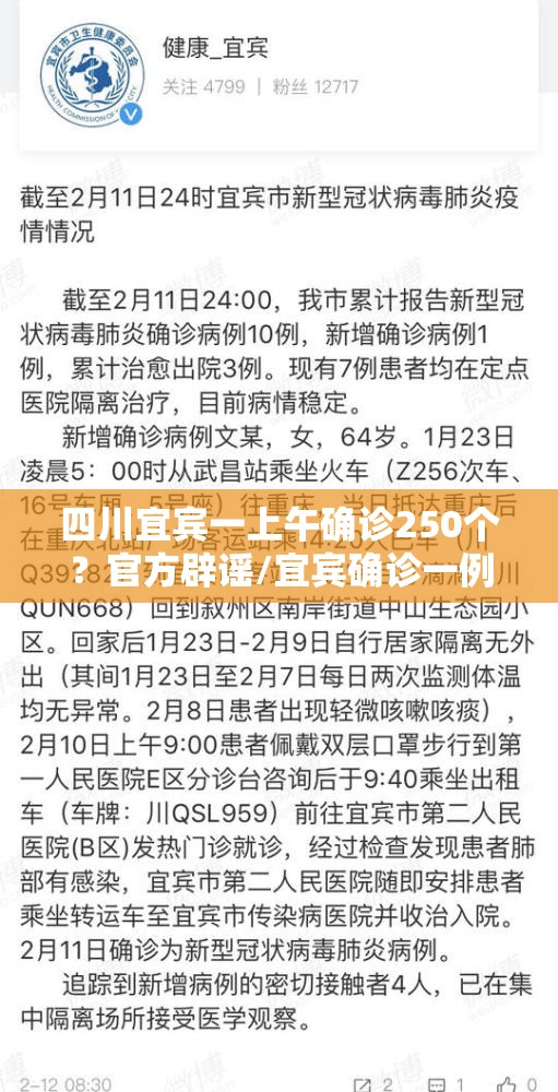 四川宜宾一上午确诊250个？官方辟谣/宜宾确诊一例新型肺炎