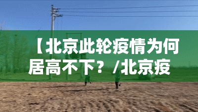 【北京此轮疫情为何居高不下?/北京疫情为啥又严重了】 【北京此轮疫情为何居高不下?/北京疫情为啥又严重了】