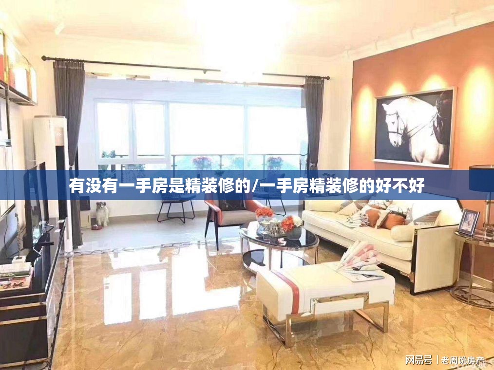 有没有一手房是精装修的/一手房精装修的好不好 有没有一手房是精装修的/一手房精装修的好不好