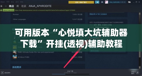 可用版本“心悦填大坑辅助器下载”开挂(透视)辅助教程