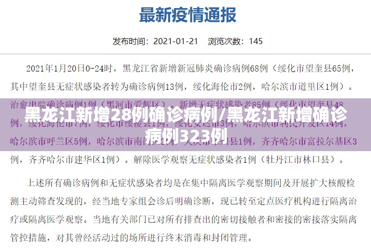 黑龙江新增28例确诊病例/黑龙江新增确诊病例323例 黑龙江新增28例确诊病例/黑龙江新增确诊病例323例