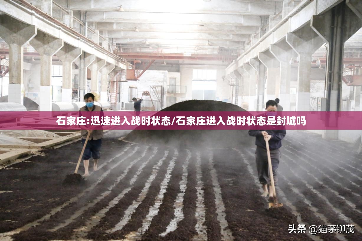 石家庄:迅速进入战时状态/石家庄进入战时状态是封城吗 石家庄:迅速进入战时状态/石家庄进入战时状态是封城吗