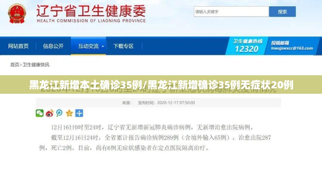 黑龙江新增本土确诊35例/黑龙江新增确诊35例无症状20例