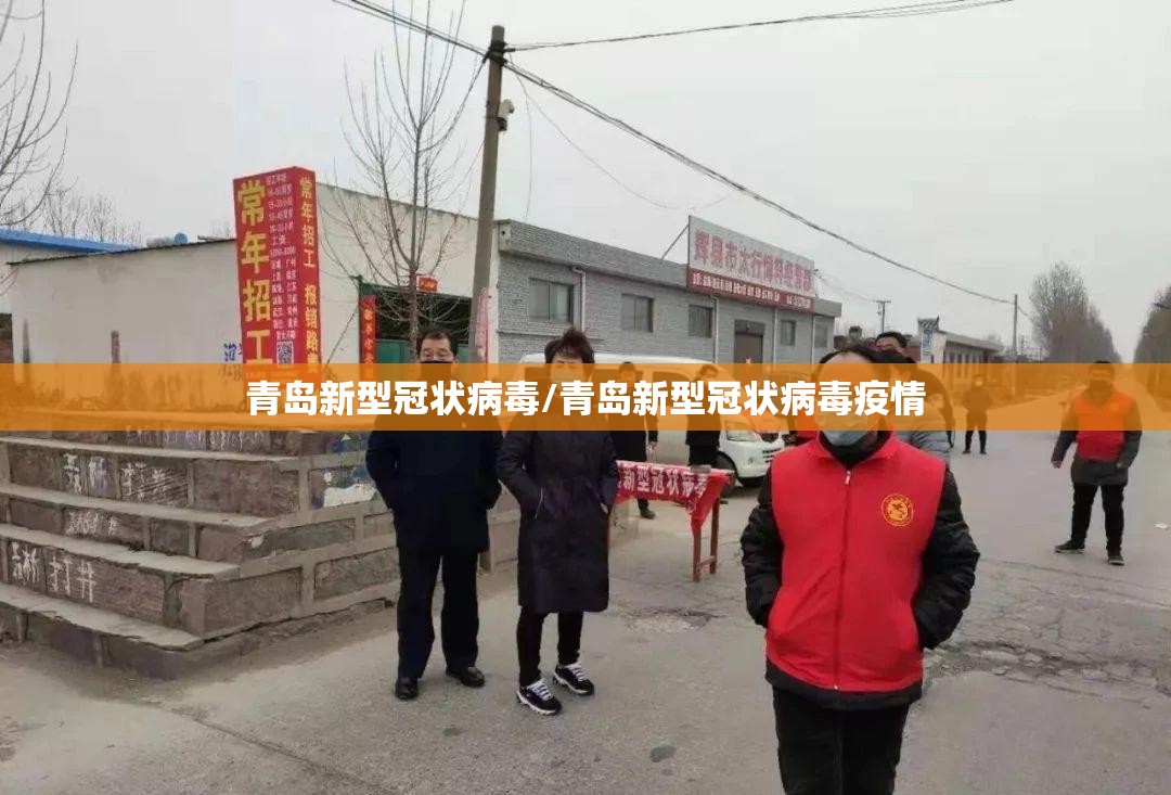 青岛新型冠状病毒/青岛新型冠状病毒疫情 青岛新型冠状病毒/青岛新型冠状病毒疫情