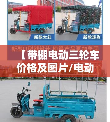 【带棚电动三轮车价格及图片/电动三轮车车棚新款 价格】