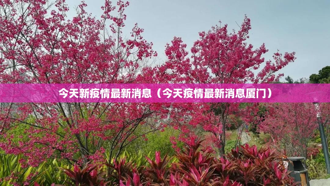 今天新疫情最新消息（今天疫情最新消息厦门）