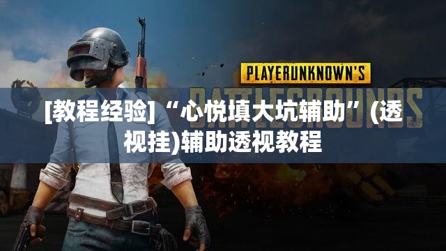 [教程经验]“心悦填大坑辅助”(透视挂)辅助透视教程