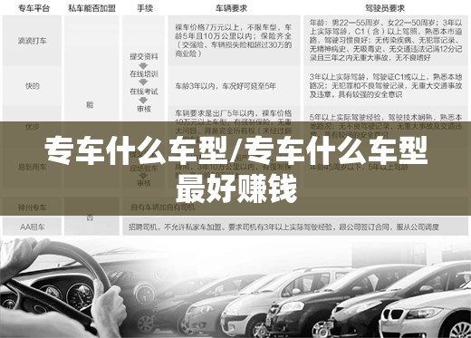 专车什么车型/专车什么车型最好赚钱